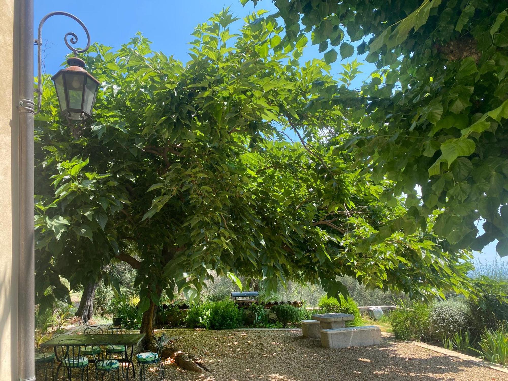 Le Mas Sainte Therese Grasse Exterior foto