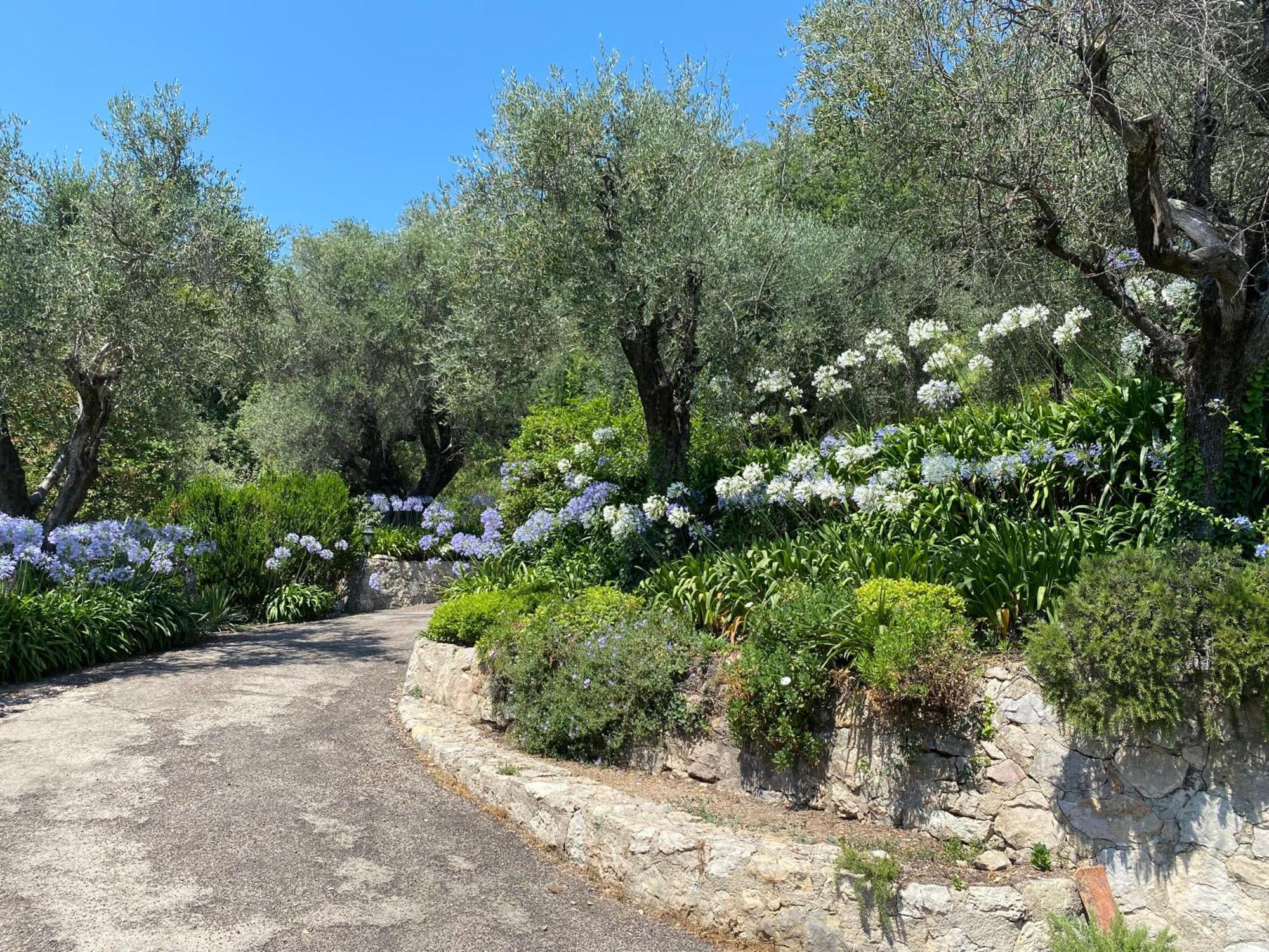 Le Mas Sainte Therese Grasse Exterior foto